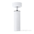 Adjustable Angle Aluminium White Body Down Light